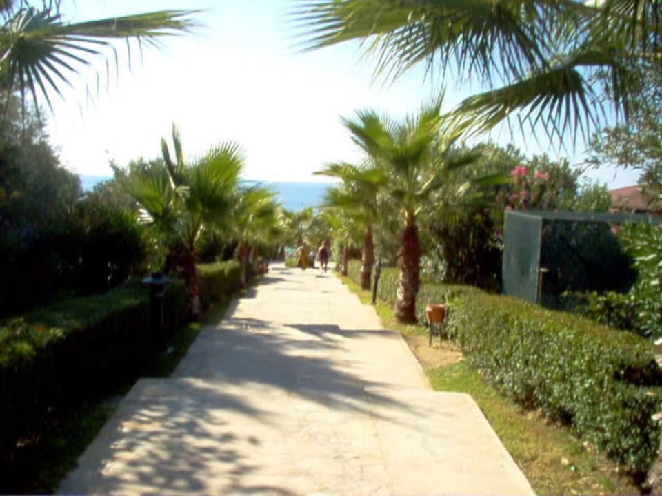 Der Weg zum Strand Alba Resort Hotel