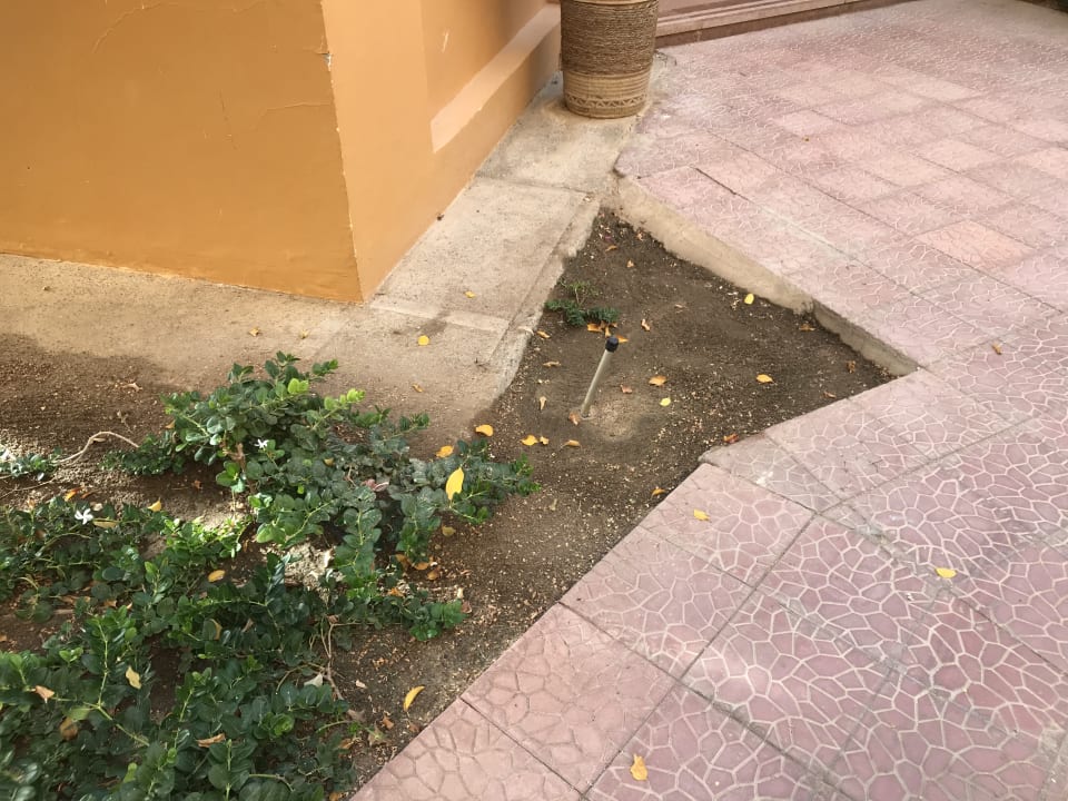 Gartenanlage Stella Beach Resort & Spa Makadi Bay