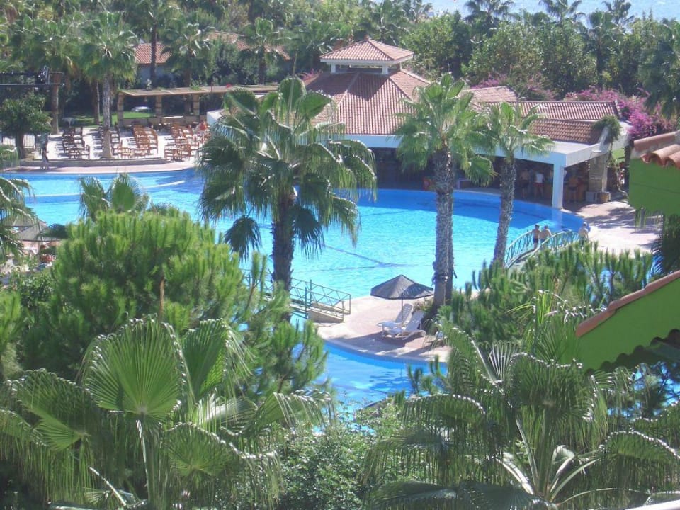 Pool Hotel Defne Star