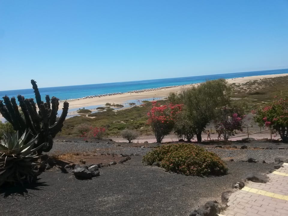 Ausblick Iberostar Selection Fuerteventura Palace