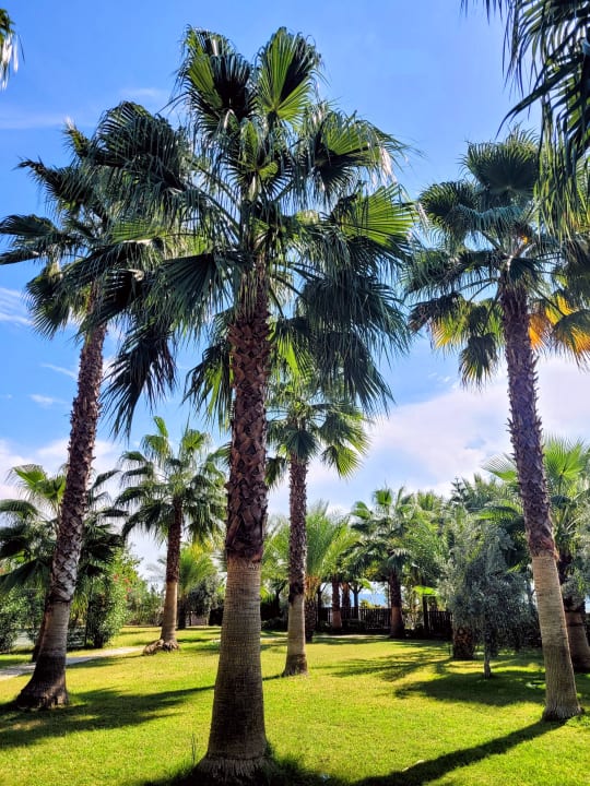 Gartenanlage Seaden Sea Planet Resort & Spa