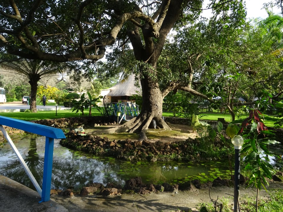 Gartenanlage Sindola Safari Lodge