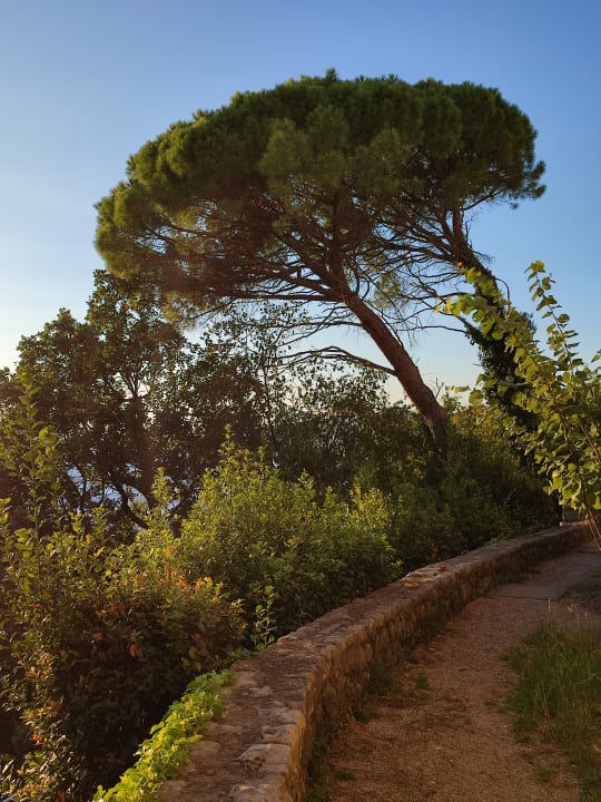 Gartenanlage Uvala Scott