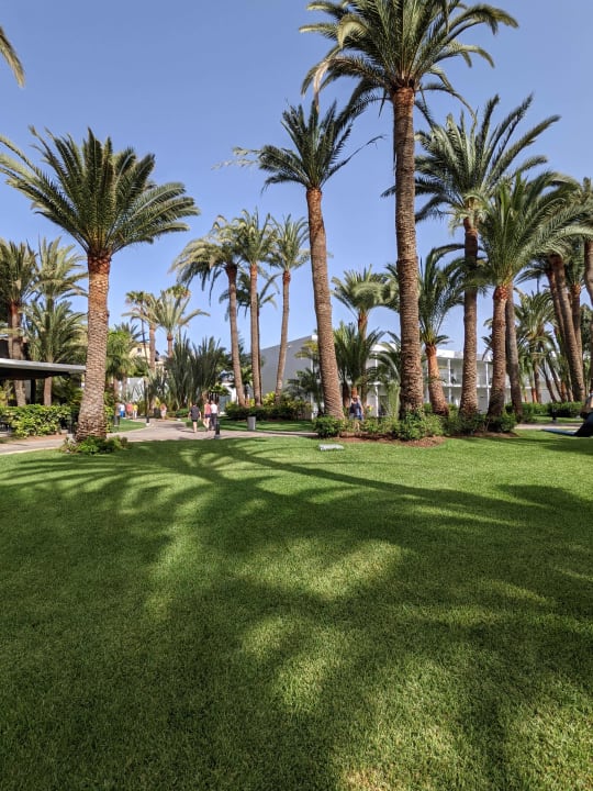 Gartenanlage Hotel Riu Palace Oasis