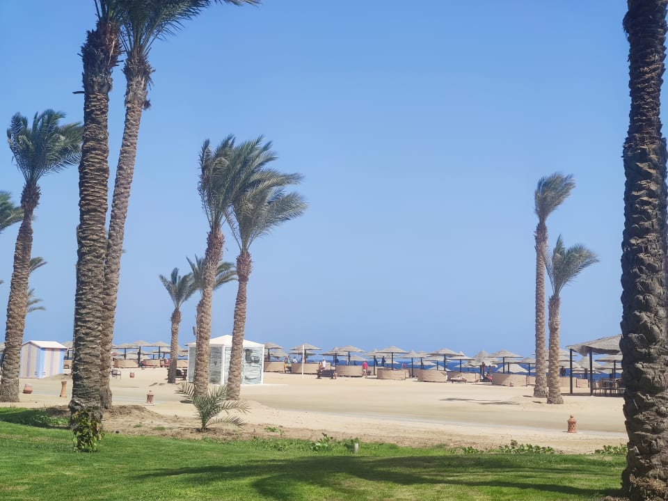 Strand Pickalbatros Sands Hotel - Port Ghalib