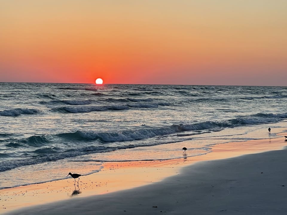 Strand Longboat Key Club & Resort