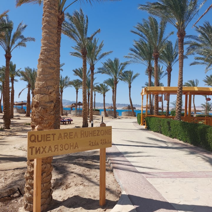 Strand Palm Royale Resort - Soma Bay