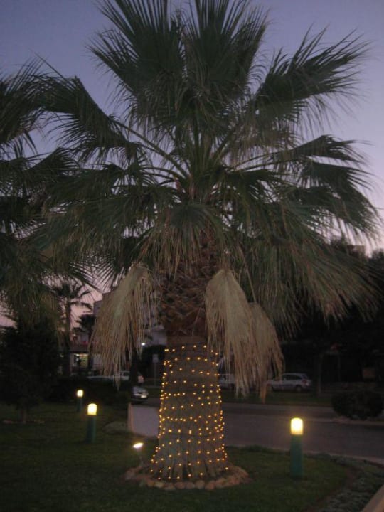 Weihnachtsbeleuchtung am Hotel allsun App.-Hotel Orient Beach