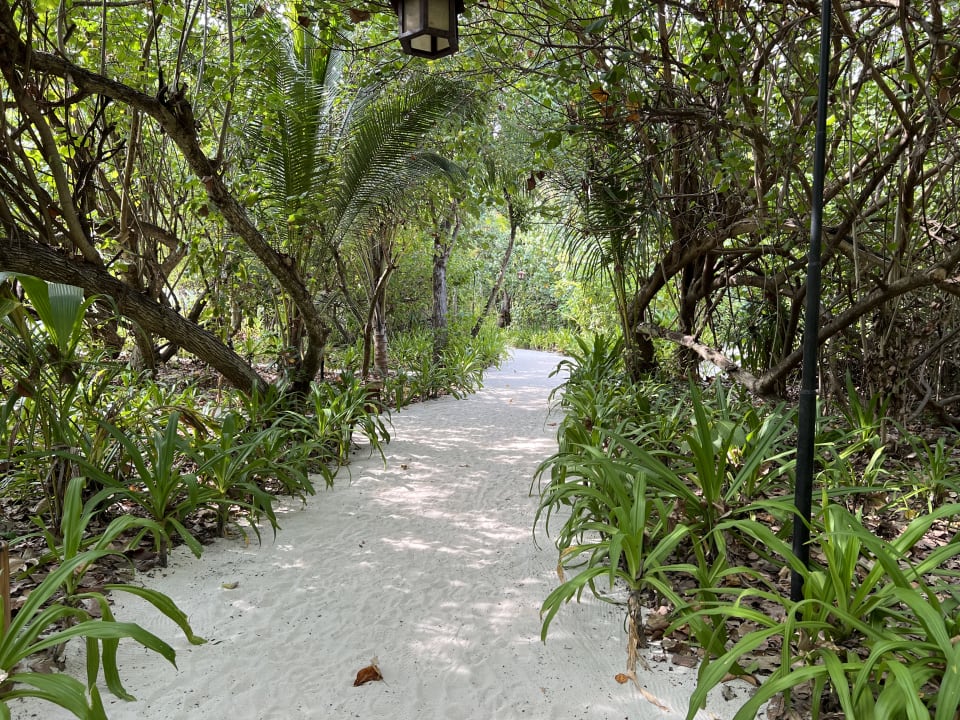 Gartenanlage NH Collection Maldives Reethi Resort