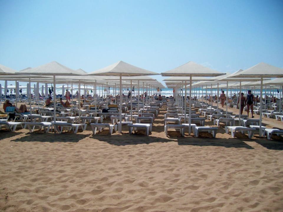 Hotel-Strand Aydinbey Kings Palace & Spa