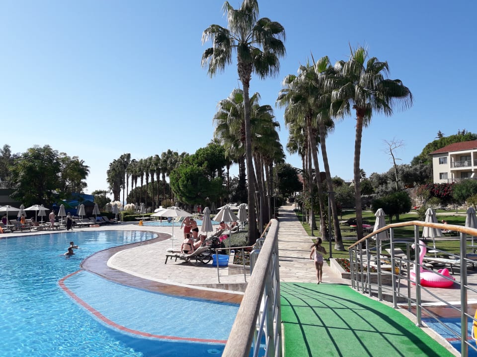 Pool Arum Barut Collection