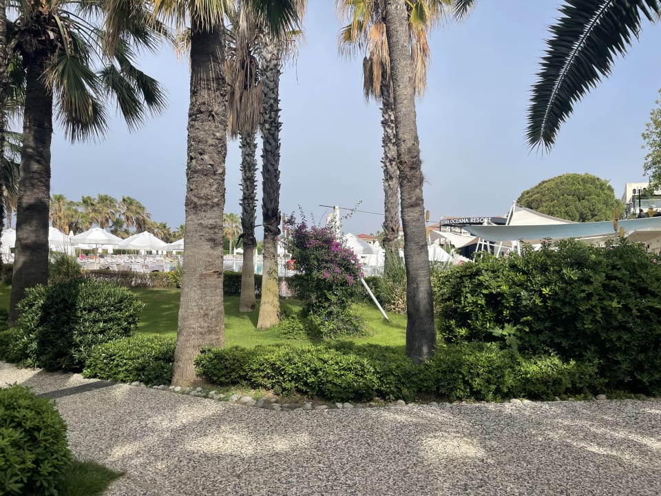 Gartenanlage Paloma Oceana