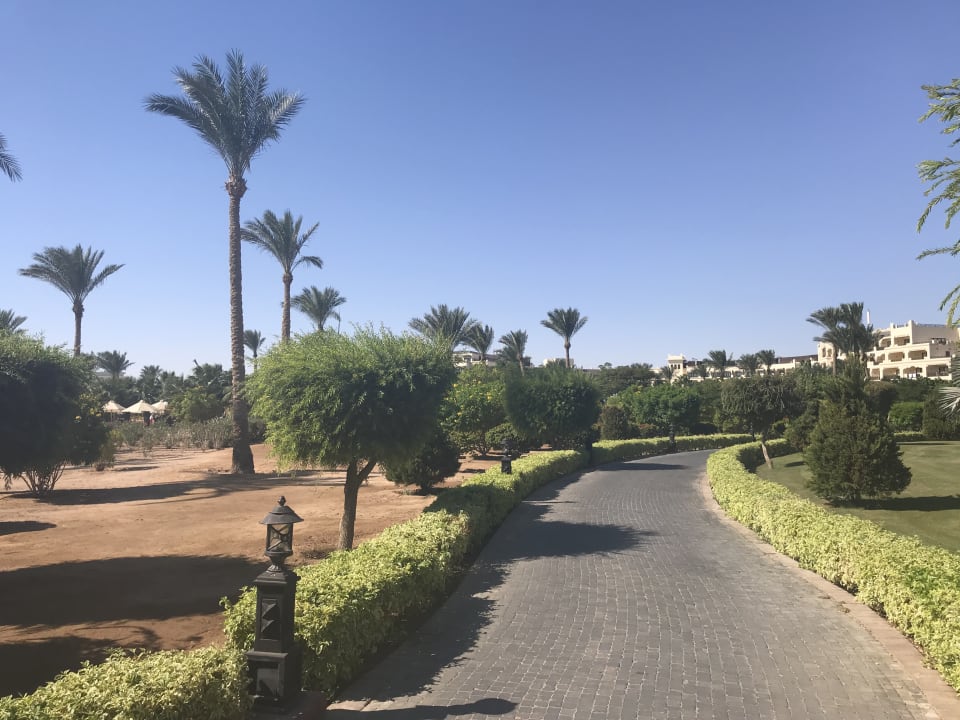 Gartenanlage Steigenberger ALDAU Beach Hotel