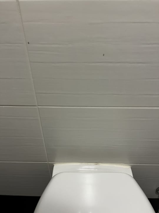 Sonstiges Virginia Family Resort