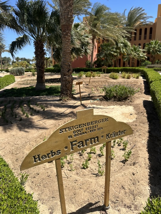 Gartenanlage Steigenberger Golf Resort El Gouna