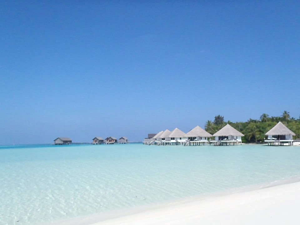 Bilck zur Insel von Sandbank Gangehi Island Resort