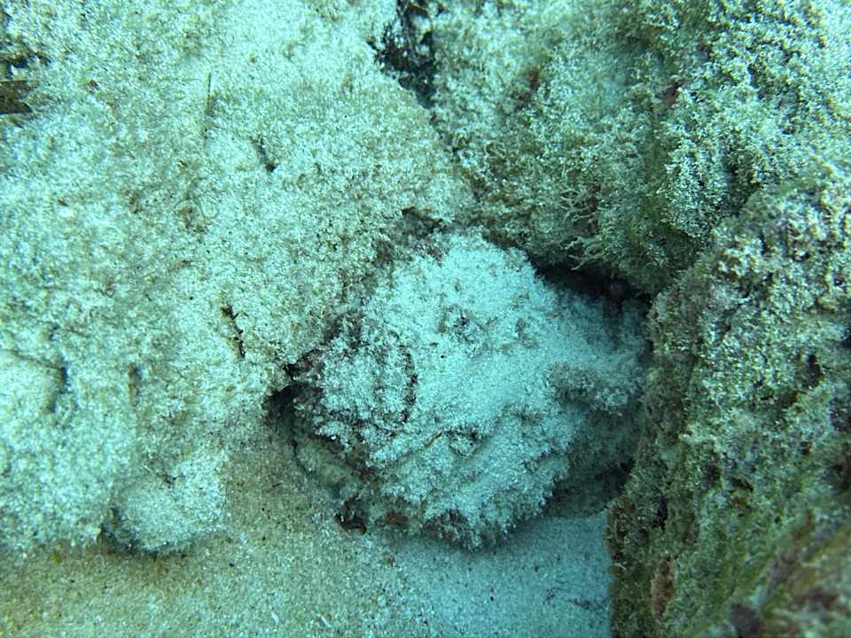 Sport & Freizeit Ocean Paradise Resort & Spa