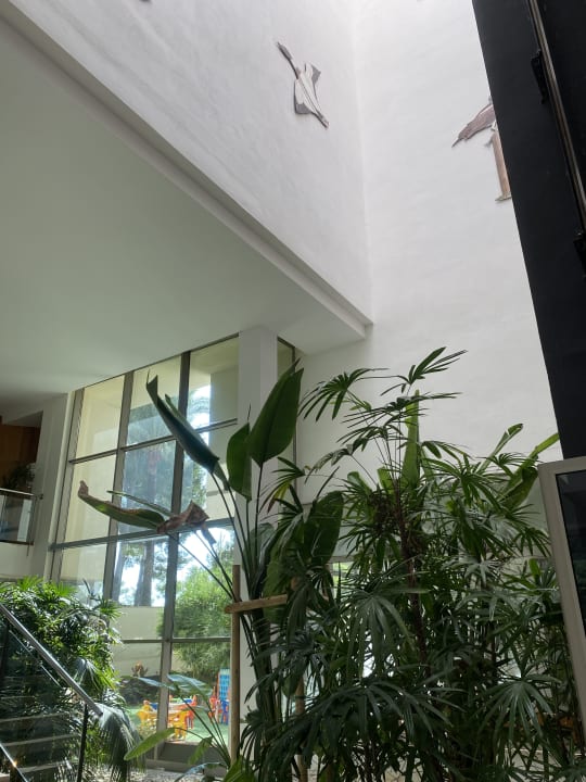 Sonstiges Grupotel Natura Playa