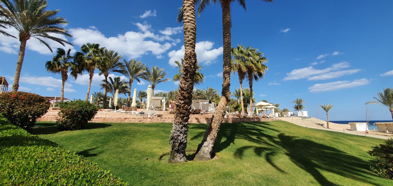 Gartenanlage Steigenberger Coraya Beach - Adults only