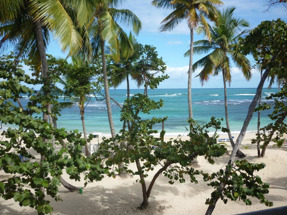 Zimmer mit Meerblick Grand Paradise Playa Dorada