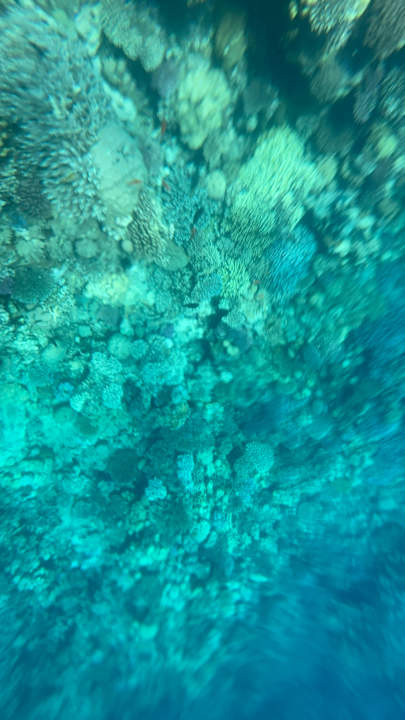 Strand Sharm El Naga Resort and Diving Center