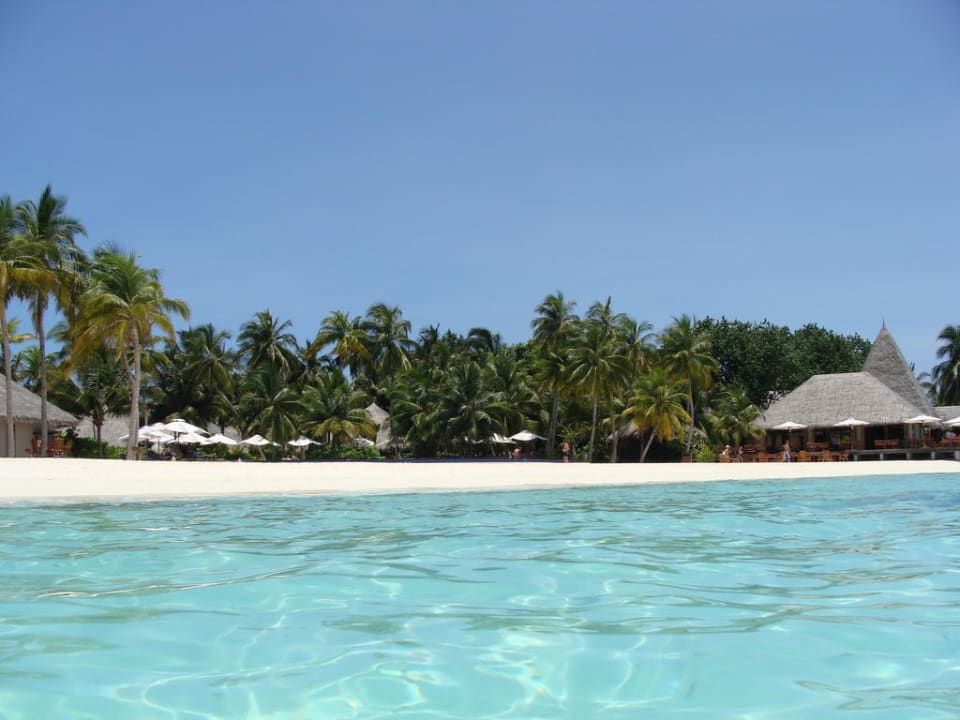 Palmen Veligandu Maldives Resort Island