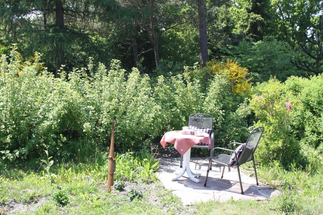 Platz zum Lesen Armarova Ihre Ferienpension