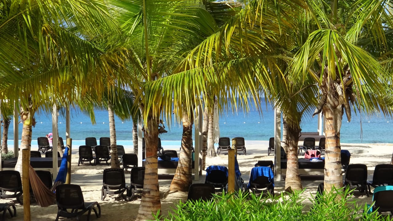 Strand Hotel Viva Dominicus Beach by Wyndham - All Inclusive Resort