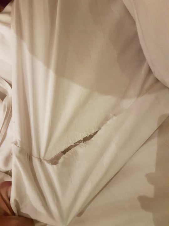 Zimmer Three Corners Sea Beach Resort