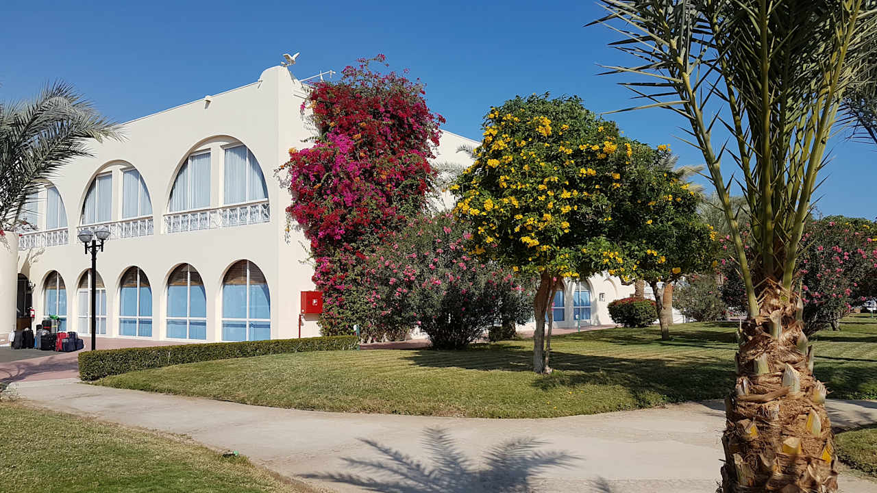 Gartenanlage Desert Rose