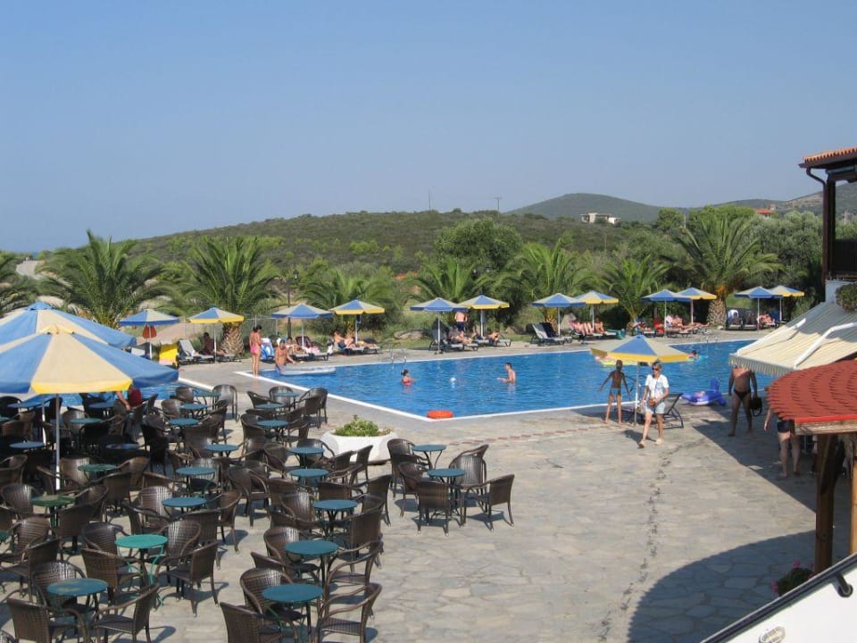 Pool und Poolbar Blue Dolphin Resort Hotel