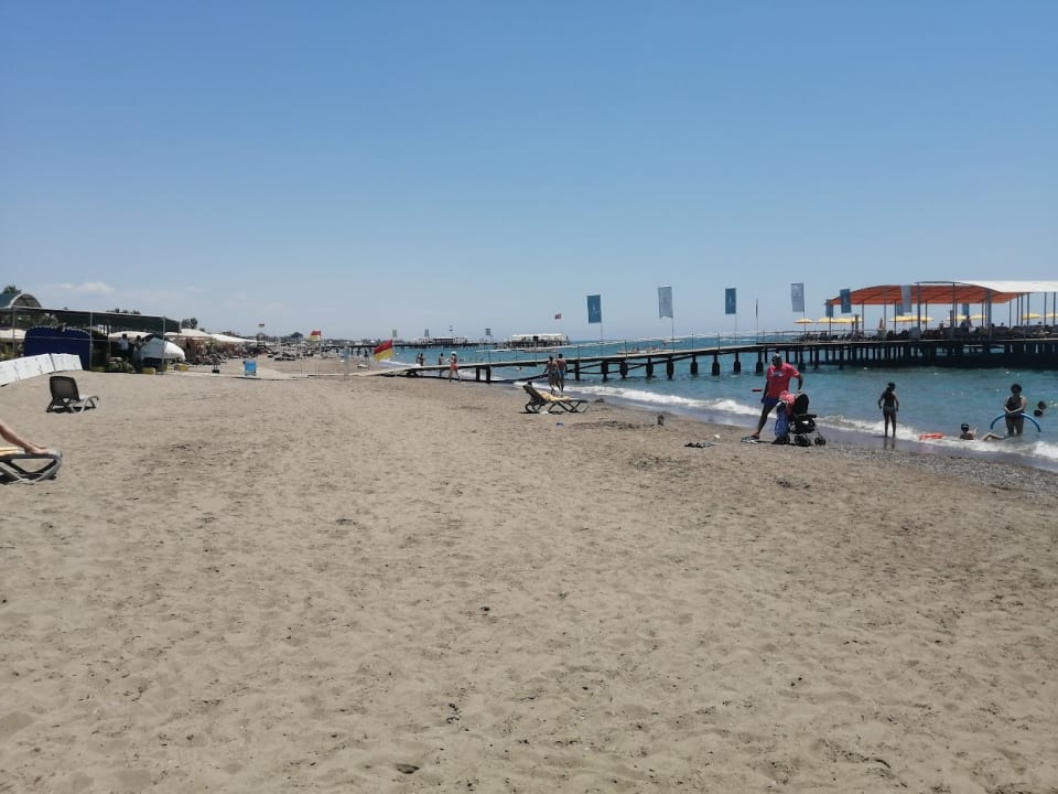 Strand Papillon Ayscha