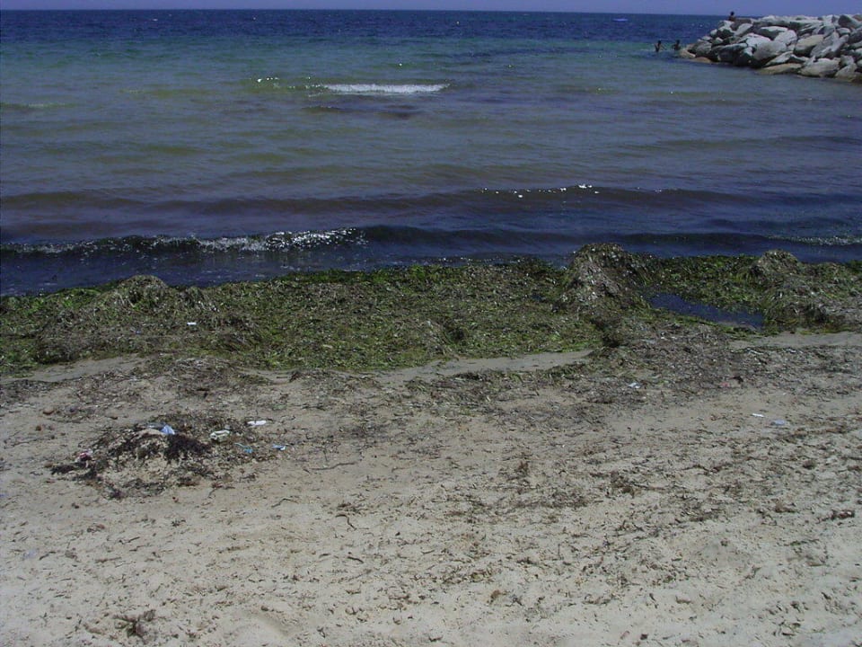 Strand Hotel El Mouradi Skanes Beach