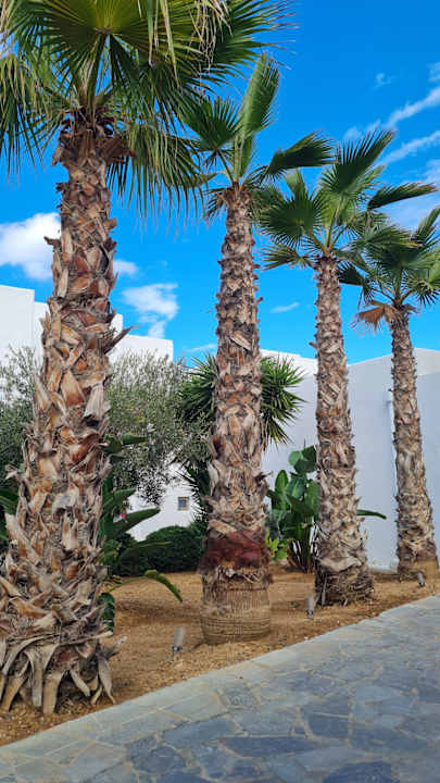 Ausblick Knossos Beach Bungalows Suites Resort & Spa