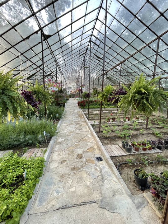Gartenanlage Barut Hemera