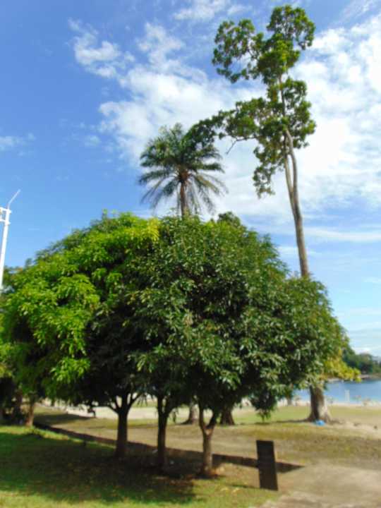 Gartenanlage Sofitel Malabo Sipopo Le Golf