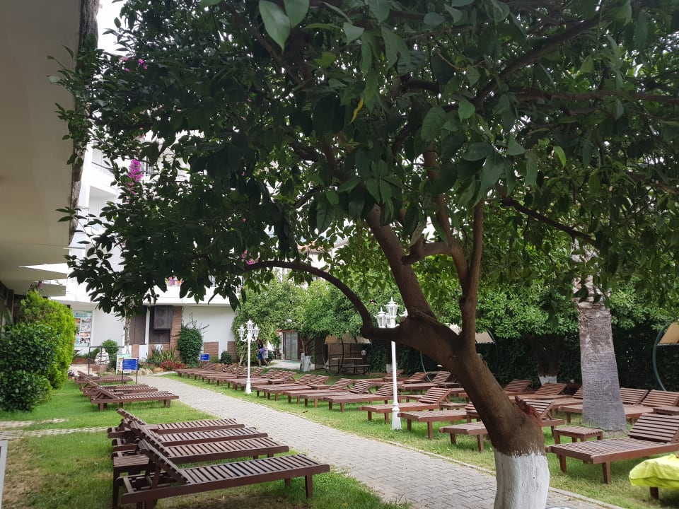 Gartenanlage Hotel Boulevard