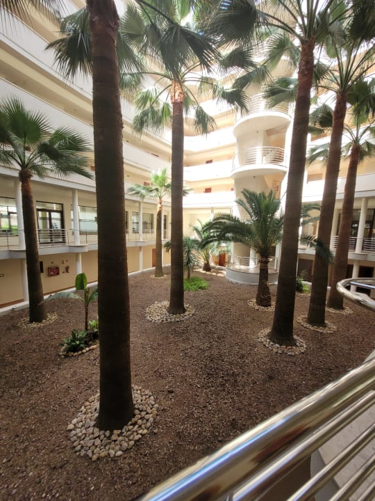 Zimmer allsun App.-Hotel Orient Beach