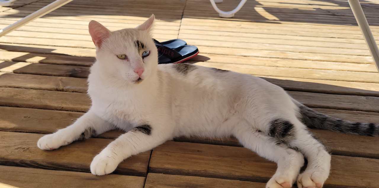 Sonstiges Bodrum Park Resort