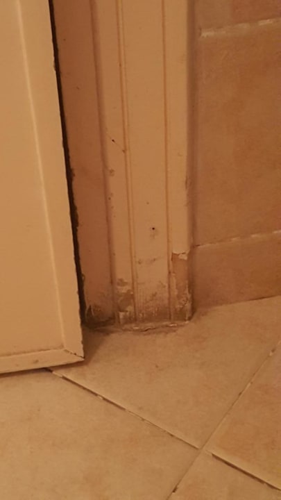 Zimmer Ghazala Gardens