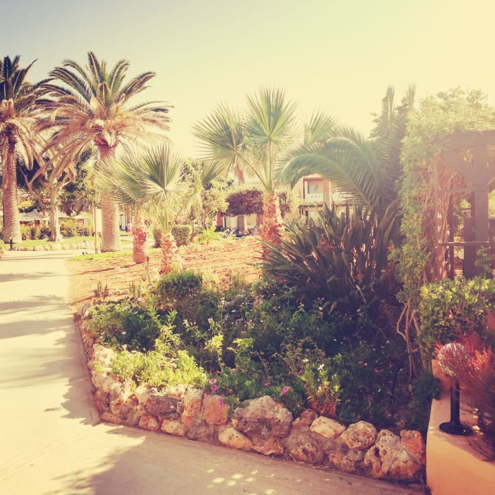 Gartenanlage Anissa Beach & Village