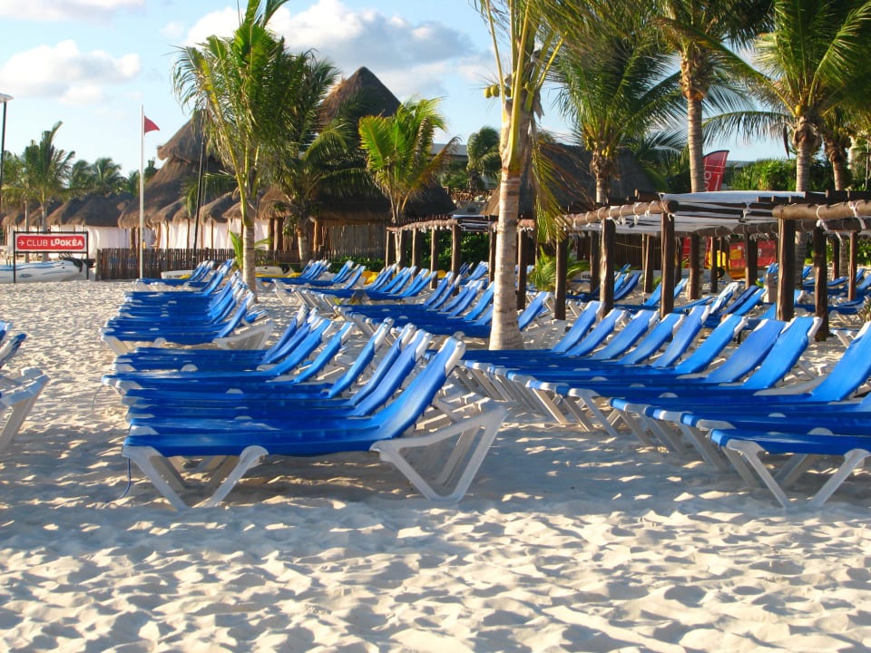 Ruhe vor dem Badetag Catalonia Playa Maroma