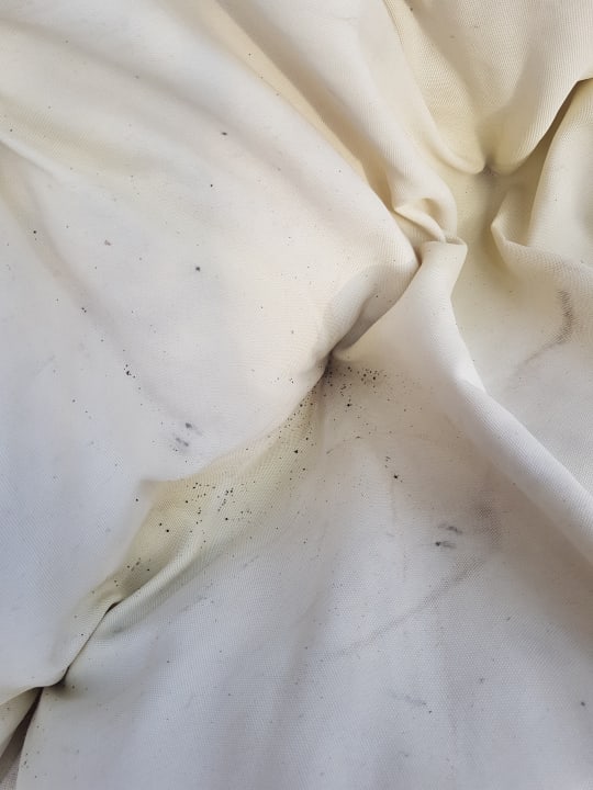 Zimmer Balmy Foresta