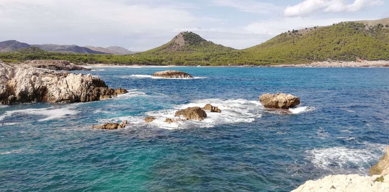 Ausblick Parque Nereida Suites Hotel