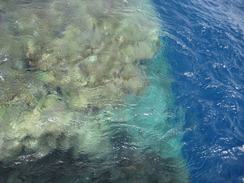 Hausriff Charmillion Sea Life Resort
