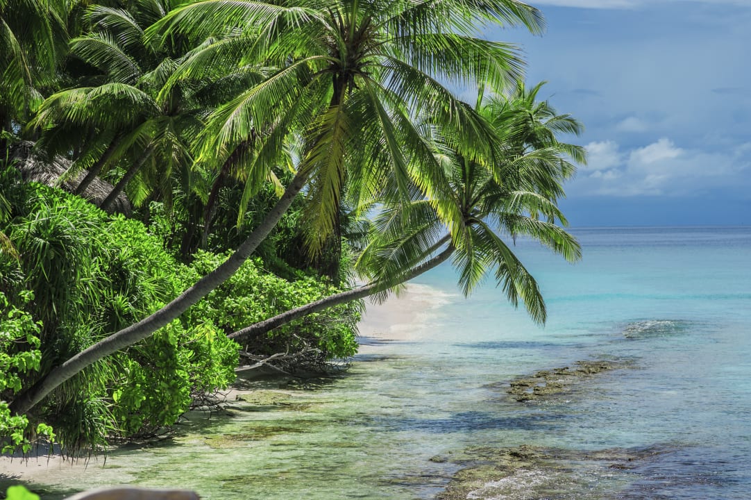 Strand aaaVeee Nature's Paradise