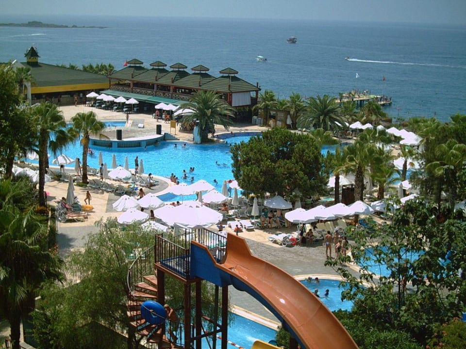 Überblick vom Dach auf Hauptpool Botanik Hotel & Resort