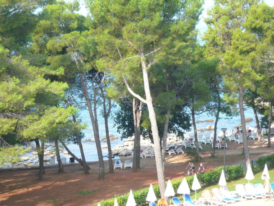 Strand Hotel Aurora Plava Laguna