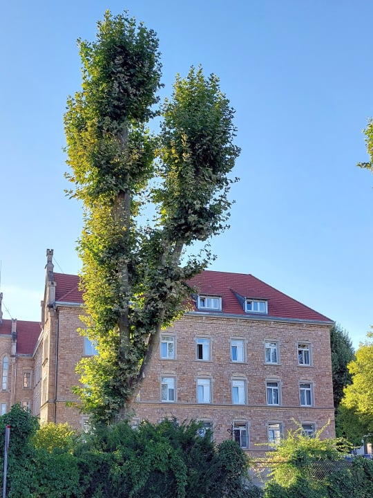 Außenansicht Bildungshaus St. Bernhard