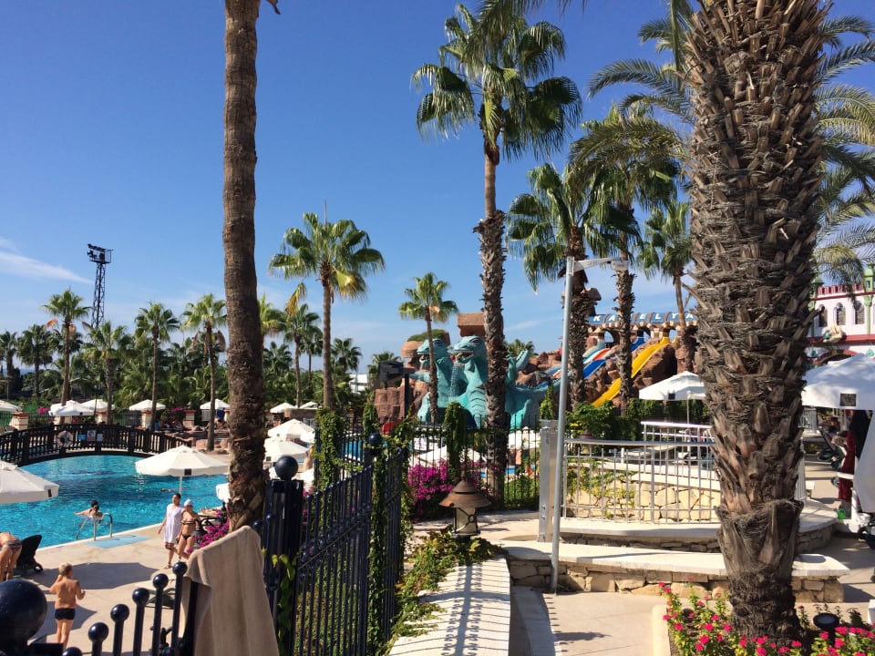 Sport & Freizeit Kamelya Aishen Club